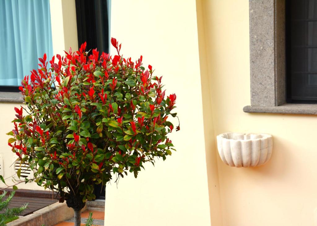 Gemelli Hotel - Resim 30