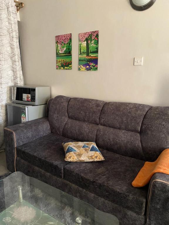 a brown couch in a living room with two paintings at Tsavo Studios Apartment in Nairobi