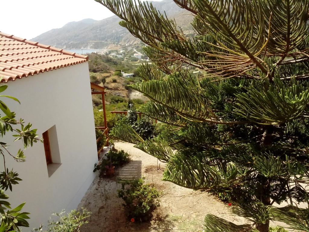 Drakano Rooms Ikaria Faros - 14