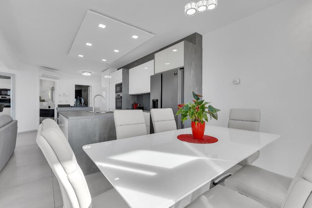 Kuchyňa alebo kuchynka v ubytovaní Exclusive Penthouse Big Blue with private Jacuzzi