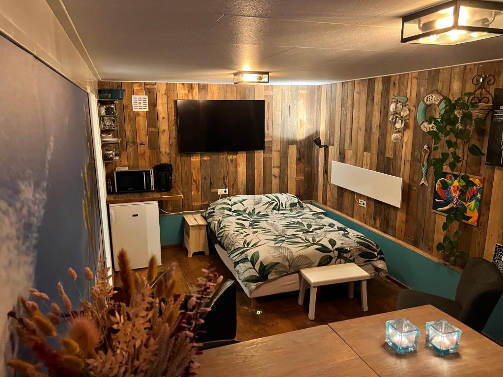een kleine kamer met een bed en een televisie bij Beach House met badkamer, boxspring & airco in Schoonebeek