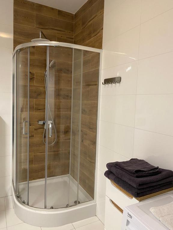 La salle de bains est pourvue d'une douche avec une porte en verre. dans l'établissement Apartament Centrum Więckowskiego, à Łódź