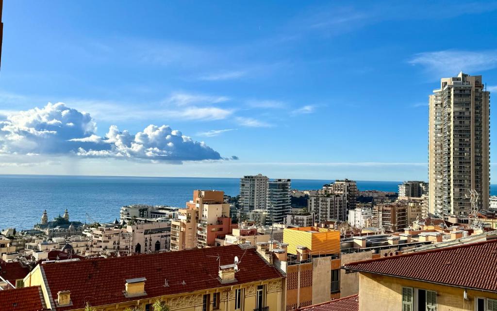 Blick auf eine Stadt mit Meer und Gebäuden in der Unterkunft Appartement vue mer vue Monaco in Beausoleil