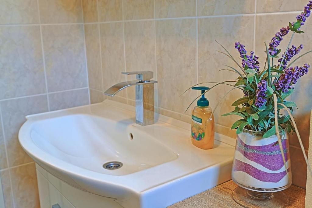 Kúpeľňa v ubytovaní Holiday Home Sinac