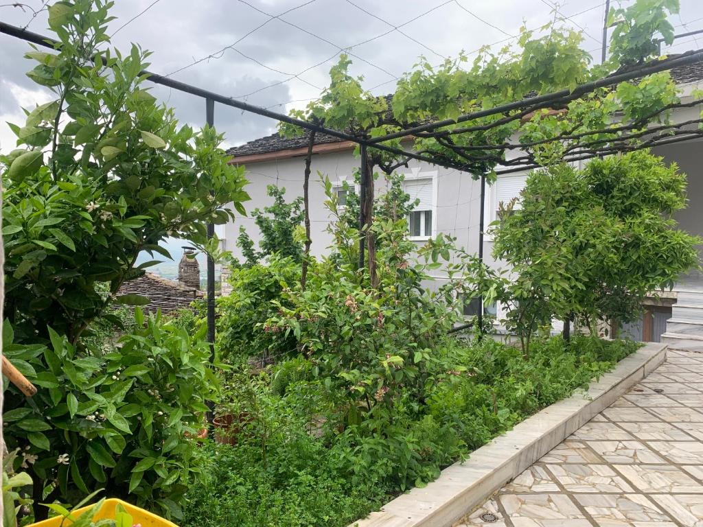 Zahrada ubytování Kubeja Guest House
