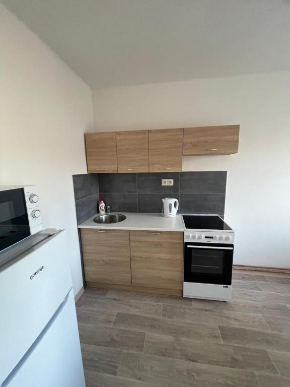 uma pequena cozinha com um lavatório e um fogão em Ferie Apartman 2 em Děčín