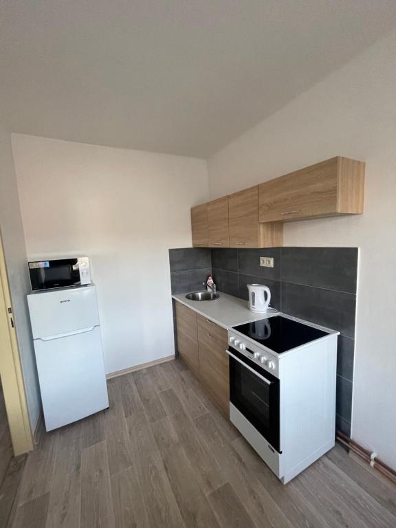 Kuchyň nebo kuchyňský kout v ubytování Apartmány Ferie