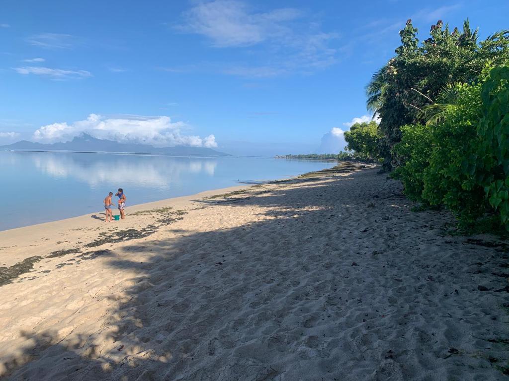 Fare Hotu Punaauia bord de mer - photo 10 - Tahiti, Polynésie