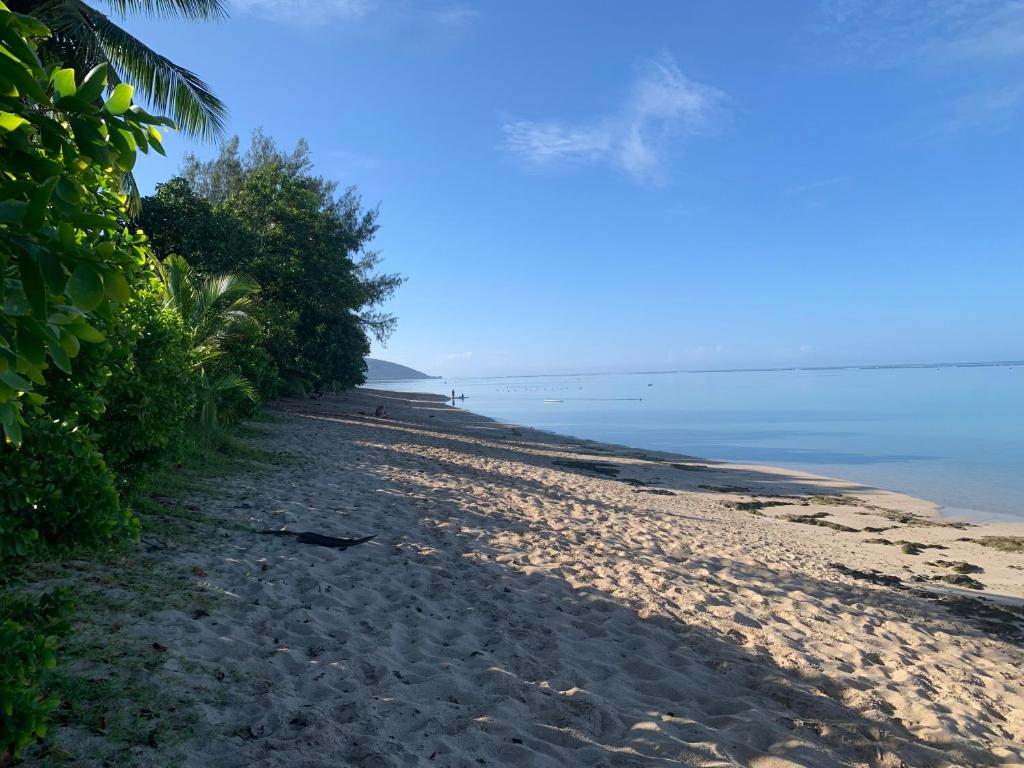 Fare Hotu Punaauia bord de mer - photo 11 - Tahiti, Polynésie
