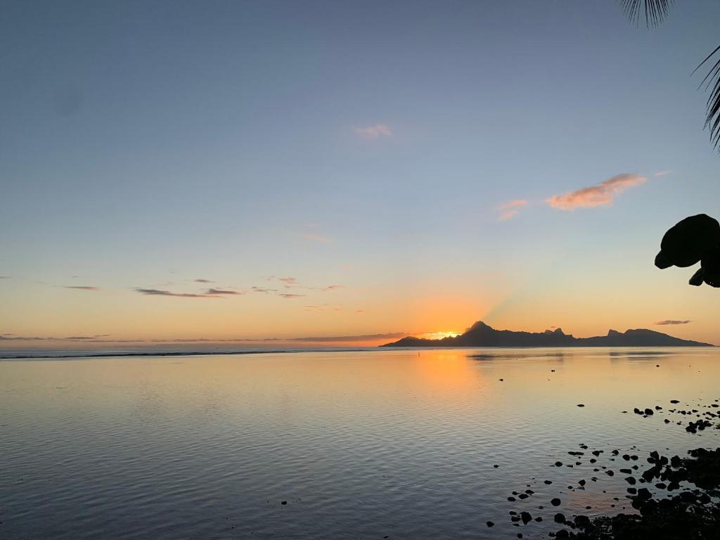 Fare Hotu Punaauia bord de mer - photo 12 - Tahiti, Polynésie