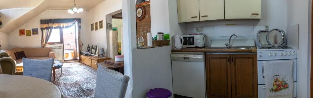 Kuchyň nebo kuchyňský kout v ubytování Guest House Fena