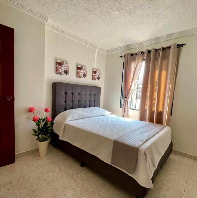 a bedroom with a bed and a window with roses at Apartamento para máximo 3 personas, habitación privada con cama doble , dos sofá cama, comodo, bonito, central, bien ubicado, en el centro de palmira in Palmira