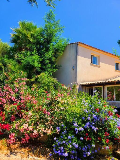 une brousse de fleurs devant une maison dans l'établissement charmante petite maison au calme, à Eccica-Suarella
