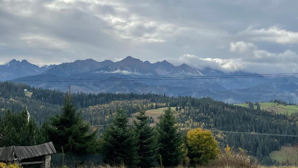 Pensjonat Sekuła*** - 10