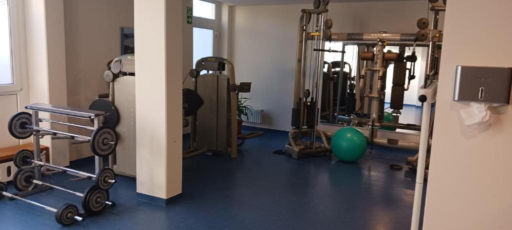 Fitness centrum a/nebo fitness zařízení v ubytování App MAJA Am Predigtstuhl