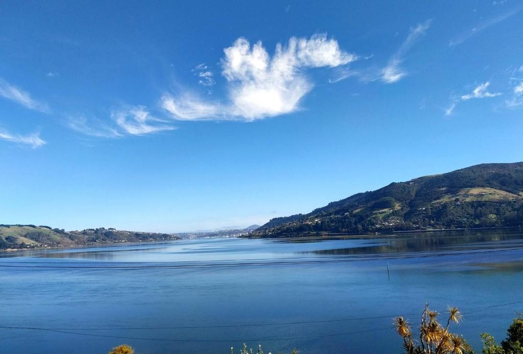 The Views - Resim 12