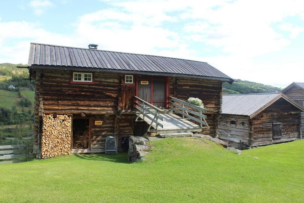 une cabane en rondins avec une porte rouge sur un champ vert dans l'établissement Trevet by Norgesbooking - cabin close to skicenter, à Holo