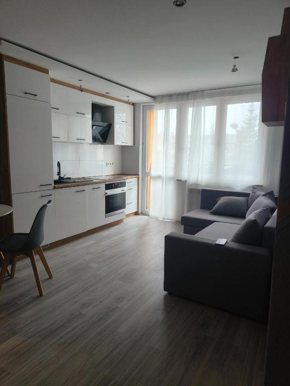 ein Wohnzimmer mit einem Sofa und einer Küche in der Unterkunft Mieszkanie w centrum Tarnowa 2.0 in Tarnów