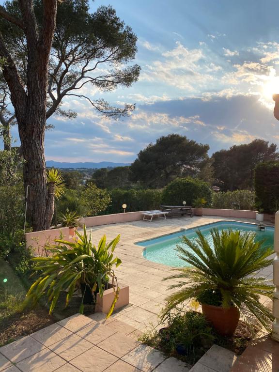 - une piscine dans une cour ornée de plantes et d'un arbre dans l'établissement Villa familiale au calme, à Fréjus