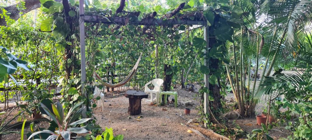Zahrada ubytování Congos Hostal y Camping