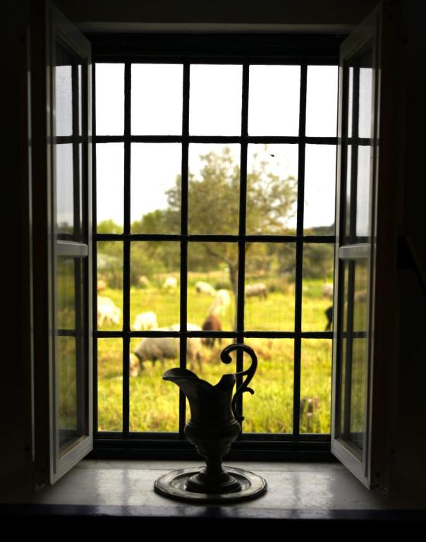 Qta Casa Seleiras - Guest House - 1