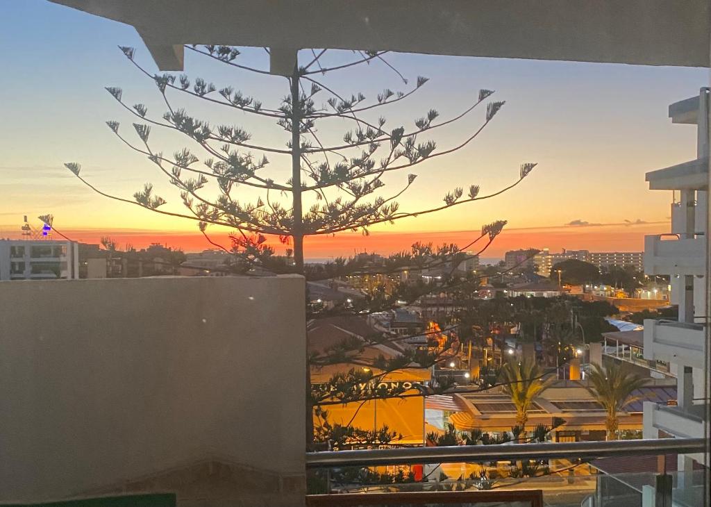 マスパロマスにあるEpicentro Maspalomasの日没を背景にした建物の上の木