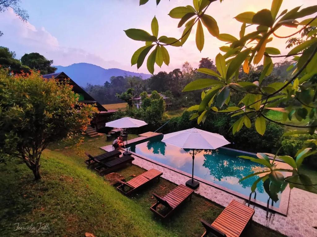 einen Pool mit Stühlen und Sonnenschirmen neben einem Resort in der Unterkunft Cinnamon Village Sinharaja in Deniyaya