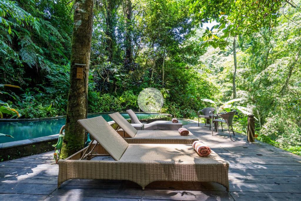 eine Terrasse mit Stühlen, einem Tisch und Bäumen in der Unterkunft Anam Cara Villa in Ubud