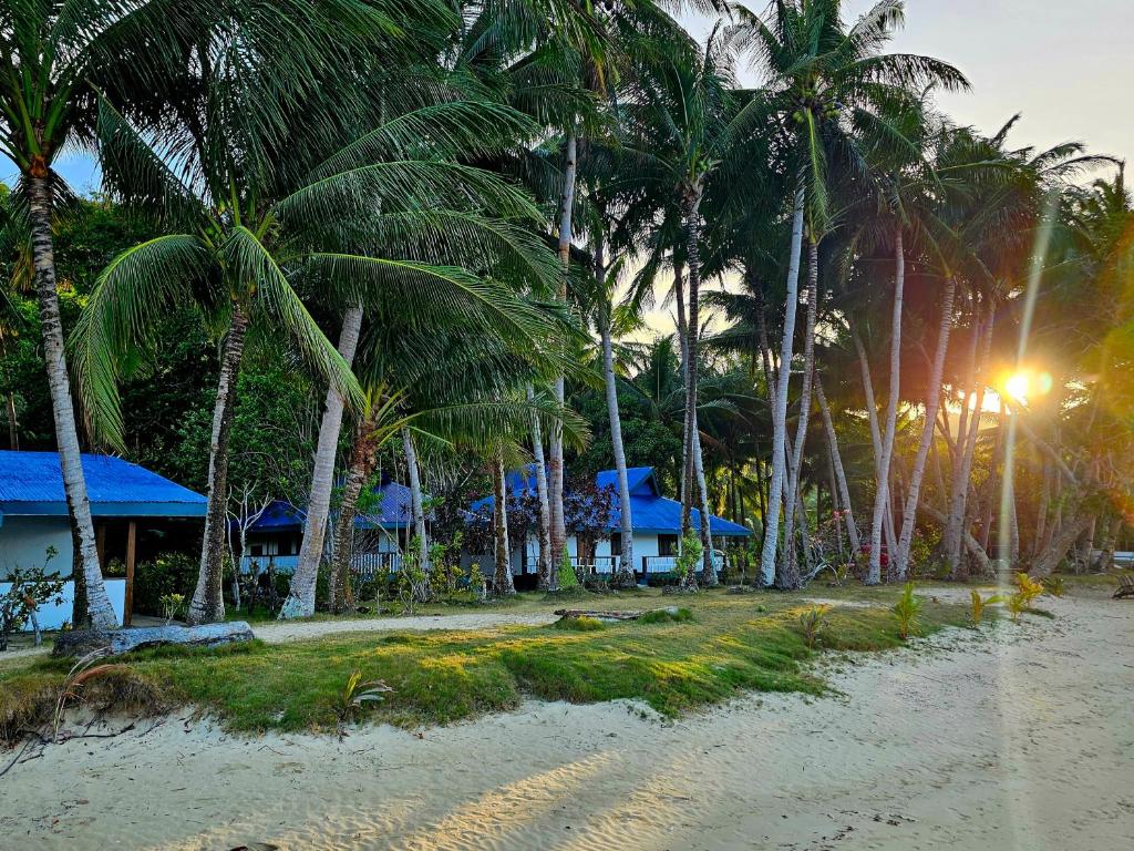 un grupo de palmeras en una playa con un edificio en DK2 Resort - Hidden Natural Beach Spot - Direct Tours & Fast Internet en El Nido