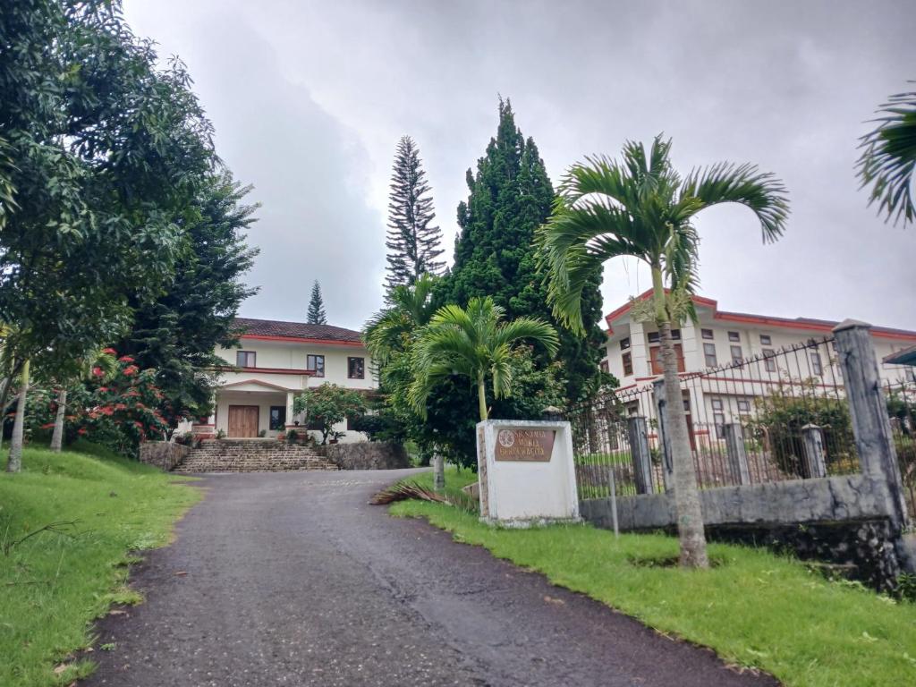 a road in front of a house with palm trees at Hotel MBC Ruteng in Ruteng