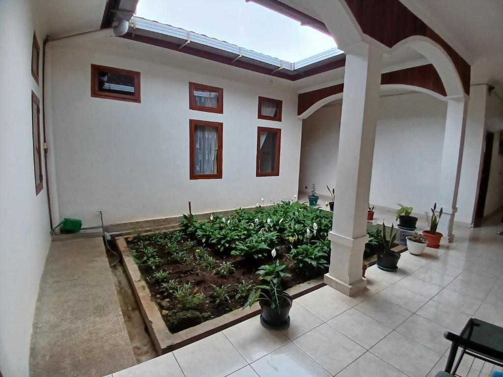 Zahrada ubytování Hotel MBC Ruteng