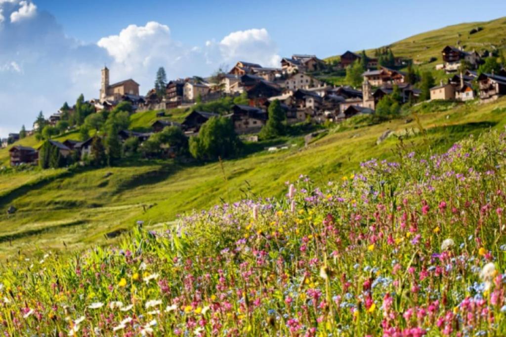 een dorp op een heuvel met een bloemenveld bij CASA-La Carotto Apart in chalet Saint Veran in Saint-Véran