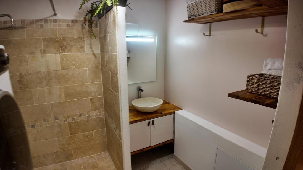 a bathroom with a sink and a shower at Villa Osao Panahy in Le Patelin