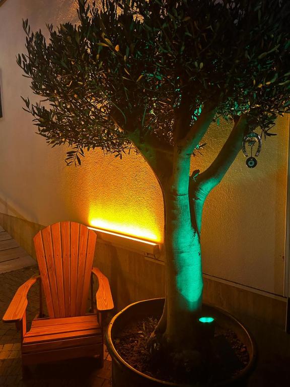 A garden outside 12 rooms hotel