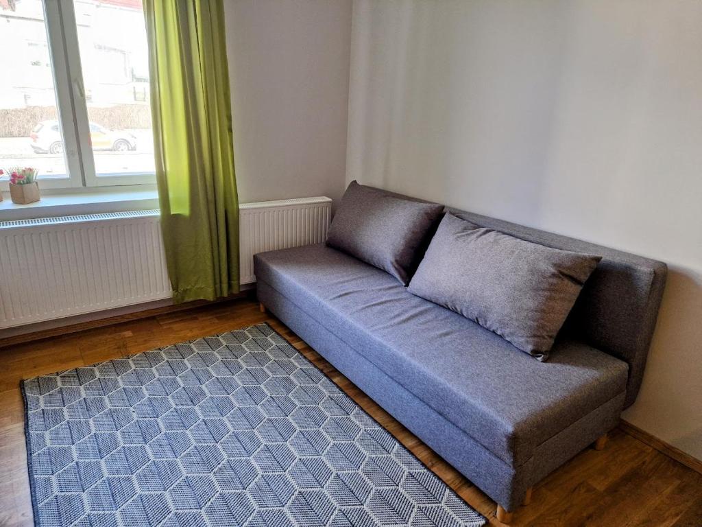 a couch in a living room with a rug and a window at Suur-Ameerika Apartment in Tallinn