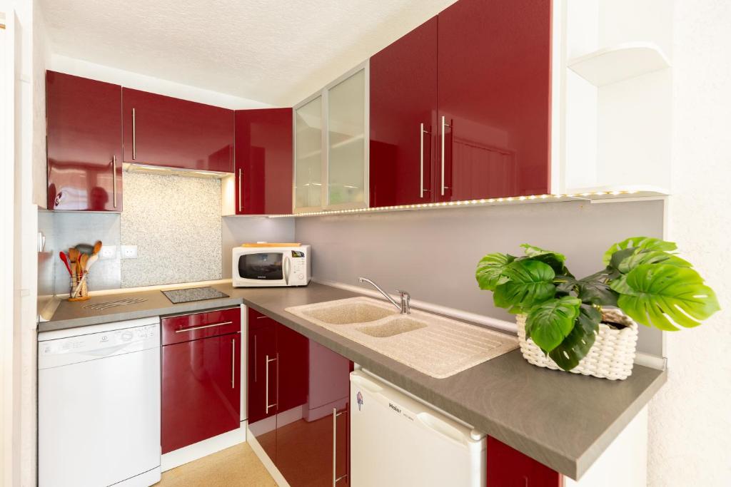 a kitchen with red cabinets and a plant on a counter at Bel Appt Plein Coeur de Saint Lary Soulan in Saint-Lary-Soulan