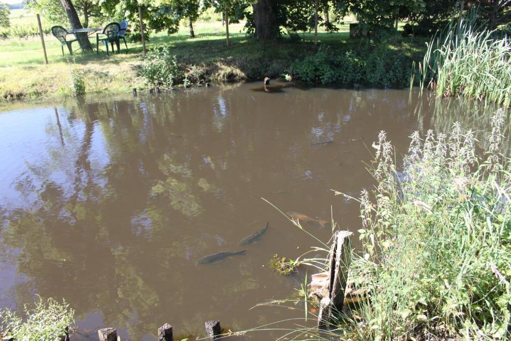 Výhled na řeku, která protéká v blízkosti bed and breakfast