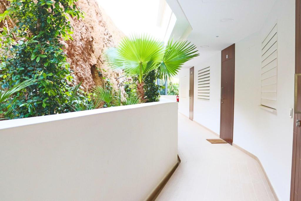 an empty hallway with plants on the wall at Fantastic apartment in The Wave just steps from Carvajal Beach - Pool and free parking in Fuengirola