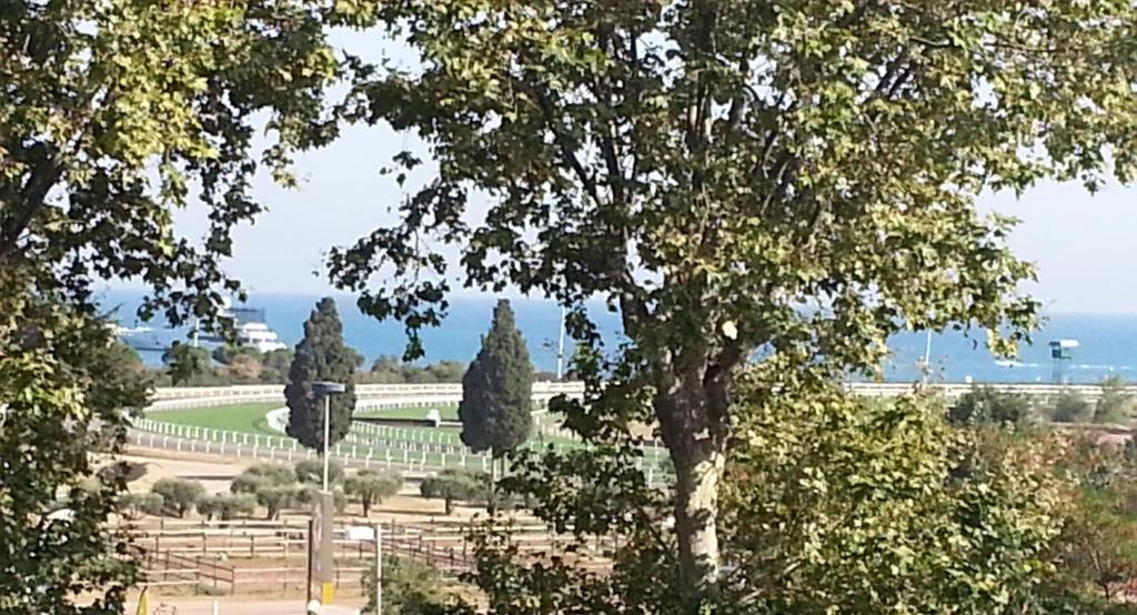 - une vue sur un parc avec un grand arbre dans l'établissement Vue mer-hippodrome à 2 pas de la mer et de la gare, à Cagnes-sur-Mer
