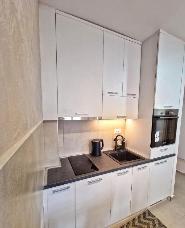 Kuchyň nebo kuchyňský kout v ubytování GOFD Apartman Zlatibor