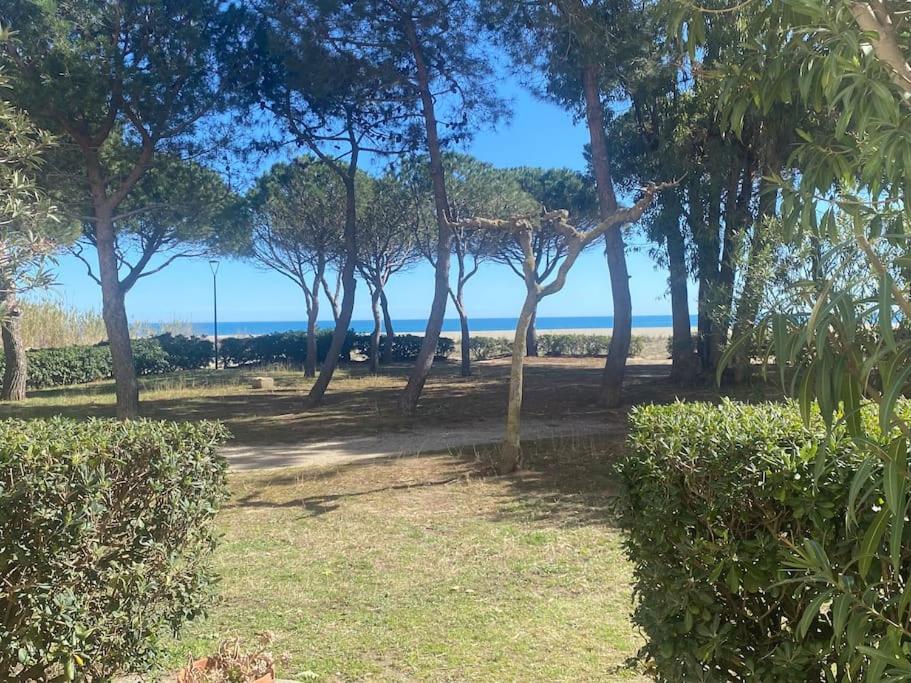 un parc avec des arbres et l'océan en arrière-plan dans l'établissement Appart rdc front de mer, calme 4MER4, à Argelès-sur-Mer