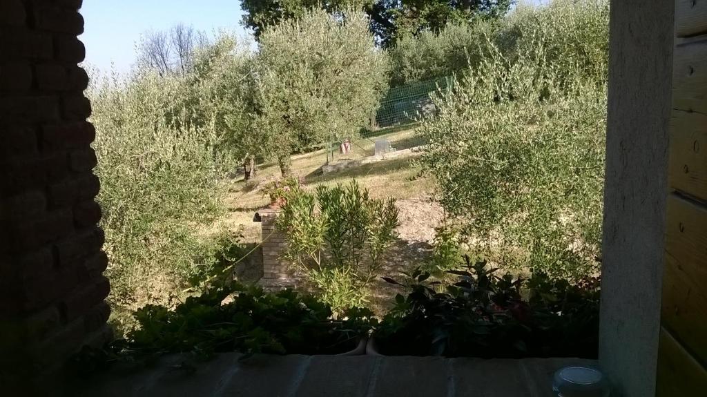 Agriturismo La Cantina San Martino - 5