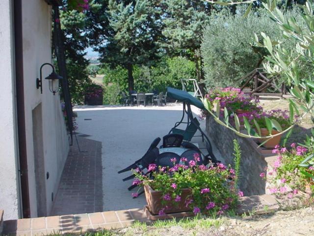 Agriturismo La Cantina San Martino - 6