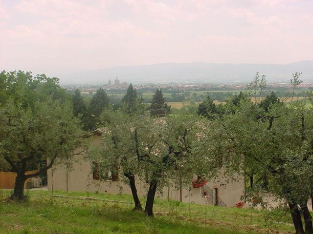 Agriturismo La Cantina San Martino - 8