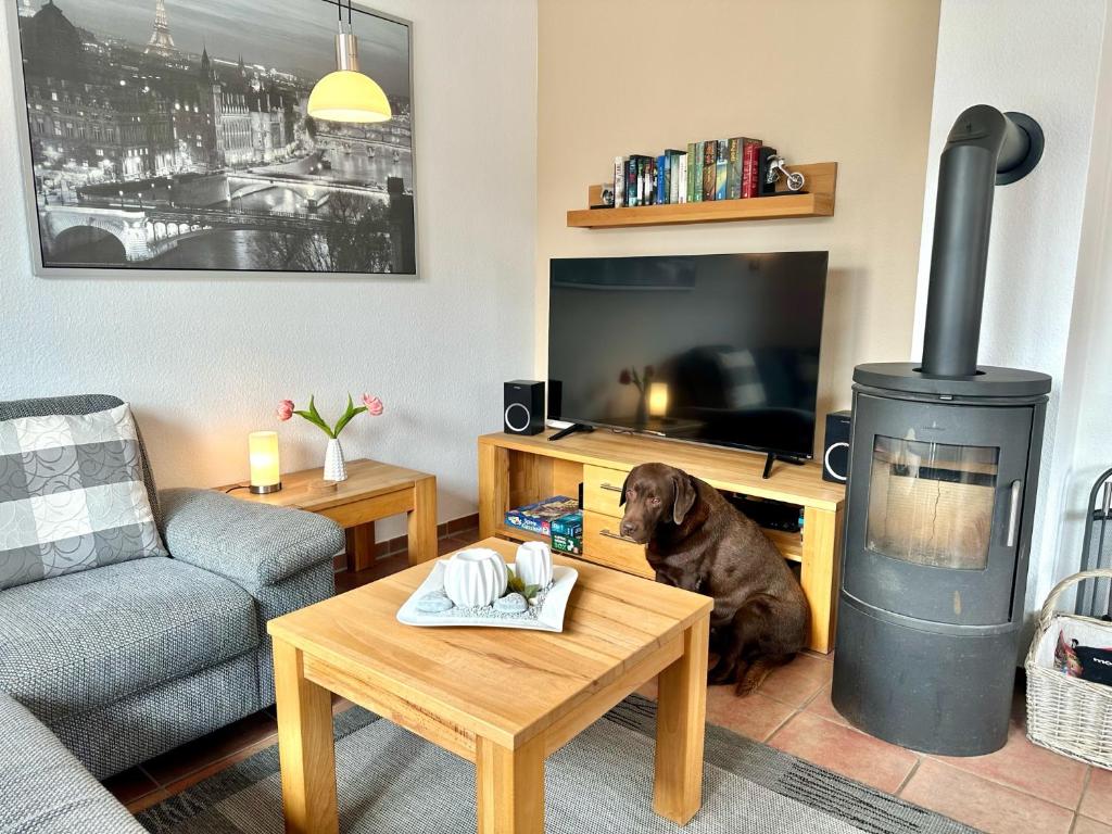 - un chien assis dans un salon avec poêle à bois dans l'établissement 1006 - Haus Seesternweg, à Dahme