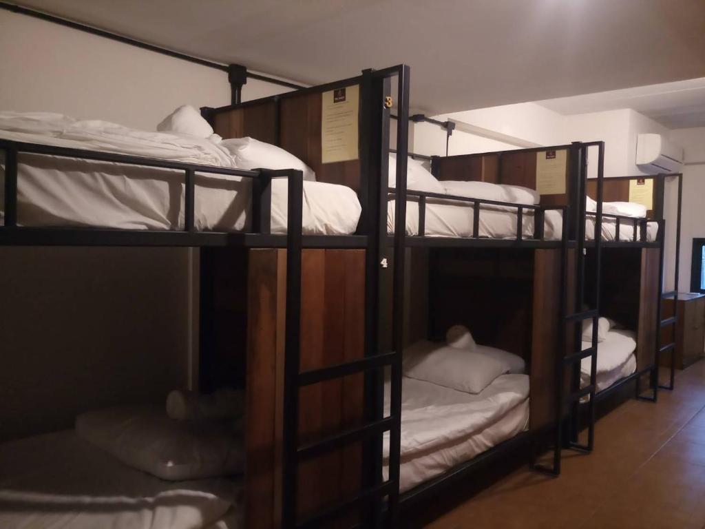 
Bunk Bed in Female Dormitory Room  
