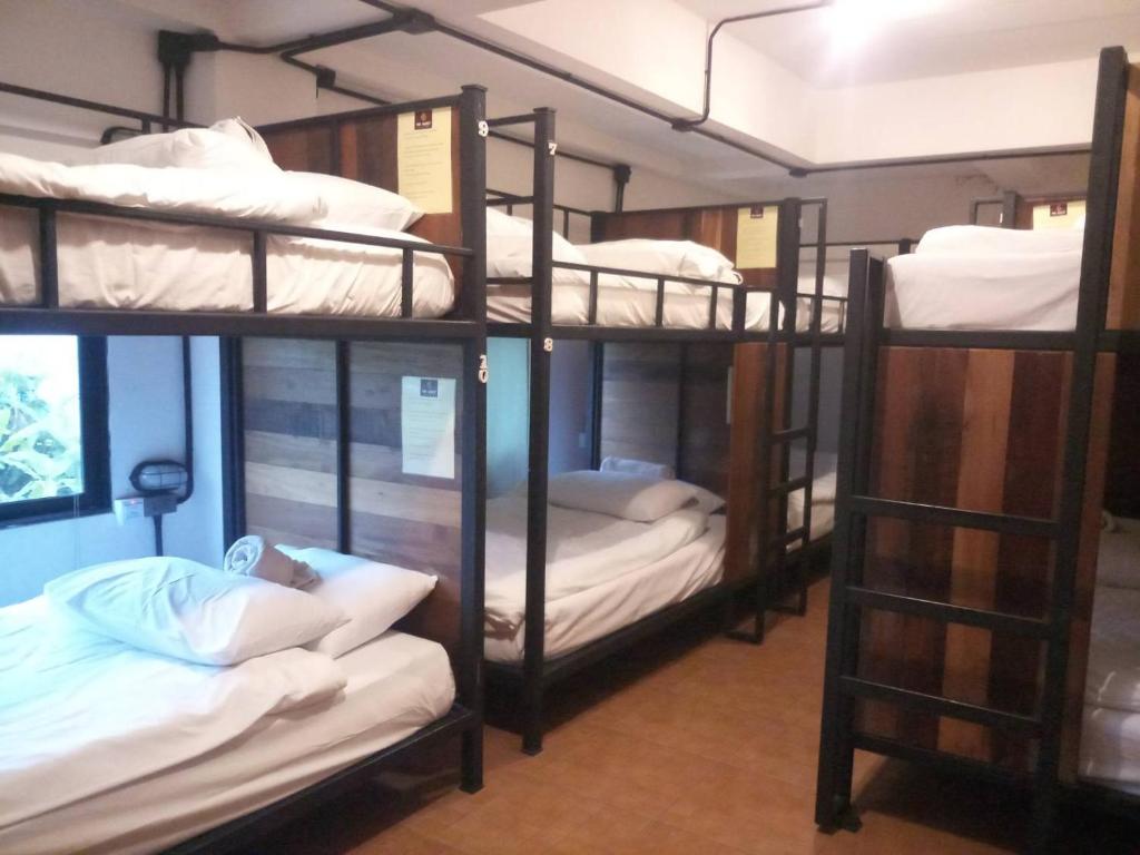 
Bunk Bed in Mixed Dormitory Room
