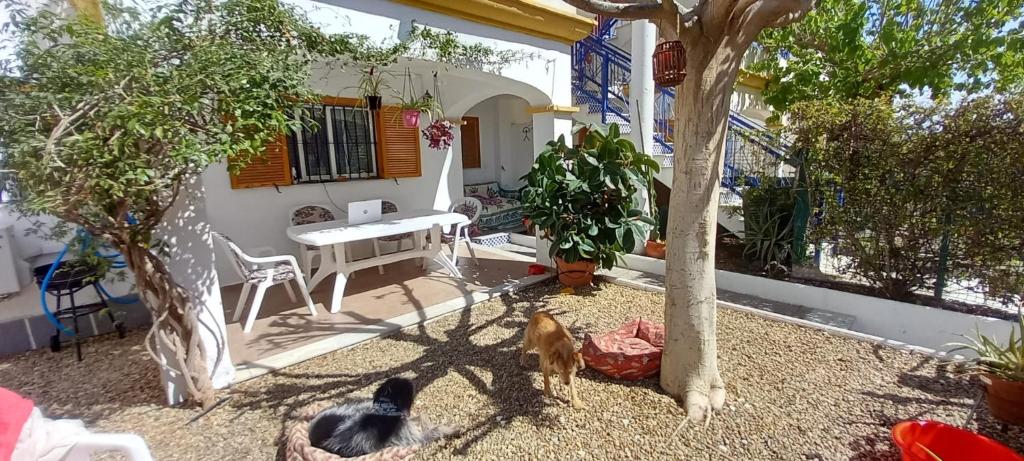 Balkón alebo terasa v ubytovaní Casa Chiki