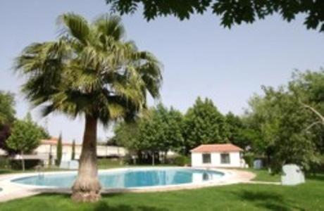 Bazén v ubytování Hotel Alfar nebo v jeho okolí