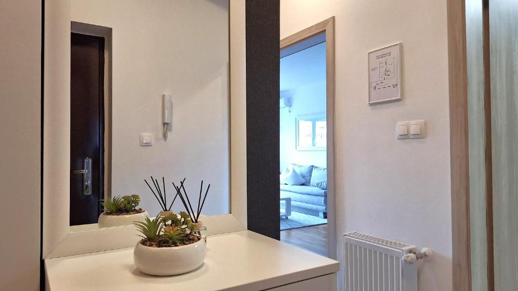 Apartman Lucille - 13